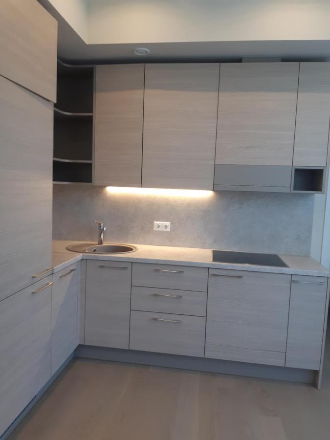Apartment In Druskininkai City Centre Exteriér fotografie